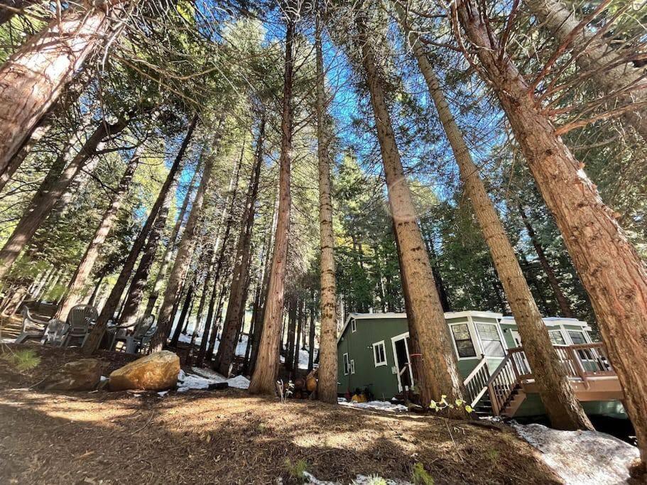 Cedar Oasis - Home Base To Big Trees Arnold Eksteriør billede